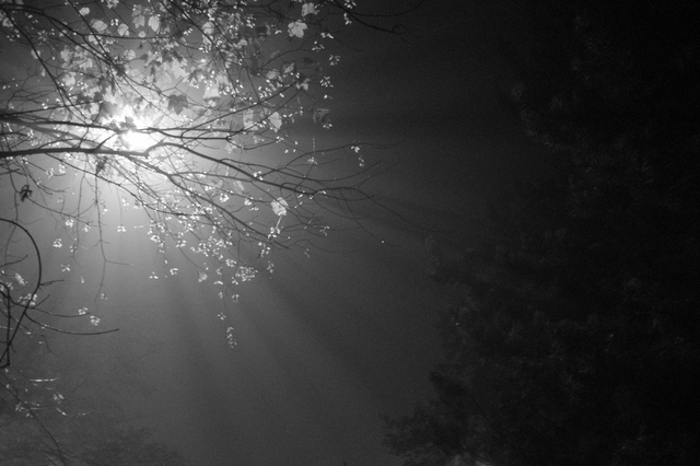 Bohunice v noci - Svět viděný černobíle